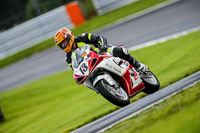 PJ-Motorsport-2019;anglesey;brands-hatch;cadwell-park;croft;donington-park;enduro-digital-images;event-digital-images;eventdigitalimages;mallory;no-limits;oulton-park;peter-wileman-photography;racing-digital-images;silverstone;snetterton;trackday-digital-images;trackday-photos;vmcc-banbury-run;welsh-2-day-enduro